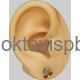 Красная вишня